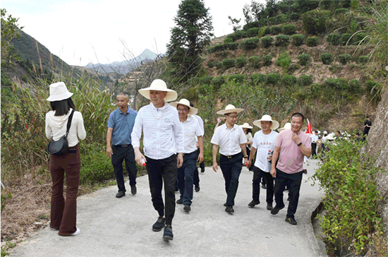 13 振興茶產(chǎn)業(yè) 媒體來助力 廈門市安溪商會組織媒體記者走進安溪茶鄉(xiāng)265.png